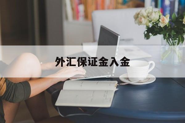 外汇保证金入金(外汇保证金交易里保证金是什么意思)